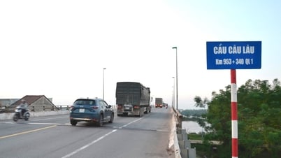 Bắt đầu 12 giờ ngày 23/12/2024