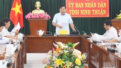 Bộ Công Thương hội nghị trực tuyến với các địa phương về điều chỉnh Quy hoạch điện VIII