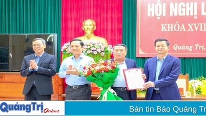 The 19th Conference of the Quang Tri Provincial Party Executive Committee, Term XVII