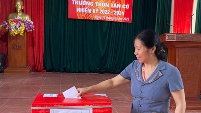 Cam Giang wählte am 10. November gleichzeitig die Dorf- und Wohngebietsvorsteher.