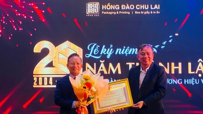 Die Hong Dao Chu Lai Company feiert ihr 20-jähriges Bestehen