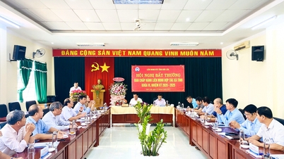 8 tháng năm 2023, toàn tỉnh thành lập mới 85 hợp tác xã
