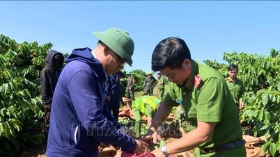 Chủ nhật về làng…