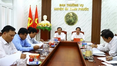 គណៈប្រតិភូត្រួតពិនិត្យ ១៥៩៩ នៃគណៈកម្មាធិការអចិន្ត្រៃយ៍បក្សខេត្ត បានធ្វើការជាមួយគណៈកម្មាធិការបក្សស្រុក Ninh Phuoc និង Thuan Nam