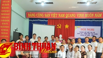 ការបង្កើតសហករណ៍សេវាទូទៅ Tan Xuan (Ham Tan)