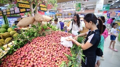 ផ្លែឈើ Son La ជិត 200,000 តោនត្រូវបានប្រើប្រាស់ក្នុងឆមាសទីមួយនៃឆ្នាំ 2024