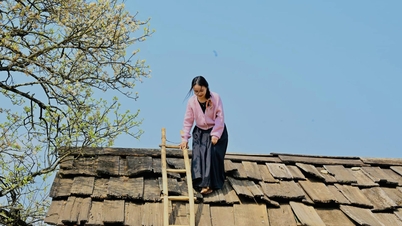 អ្នក​ទេសចរ​ឡើង​លើ​ដំបូល​ដើម្បី​ប្រមាញ់​រូបថត​ផ្កា hawthorn ជាមួយ "ទិដ្ឋភាព​រាប់​លាន​ដុល្លារ" នៅ Son La