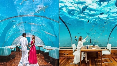 Inside the world's most expensive "sit on the toilet and watch sharks" hotel