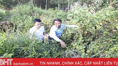 ស្វែងរកដាននៃទស្សនវិទូដែលបានជួយស្តេច Quang Trung កម្ចាត់កងទ័ព Qing