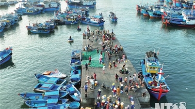 Synchronous development of the fisheries sector