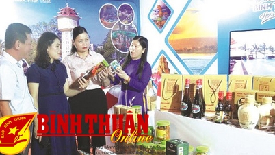 រួមគ្នាផ្សព្វផ្សាយផលិតផលទេសចរណ៍ និងភូមិសិប្បកម្មនៅ Tuyen Quang