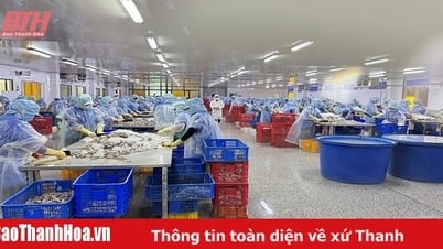 បើក “ទ្វារ” នាំចេញកសិផល Thanh Hoa