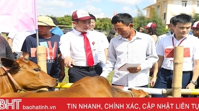 Agribank សាខា Ha Tinh II ផ្តល់​ជីវភាព​ដល់​គ្រួសារ​ក្នុង​ស្ថានភាព​លំបាក