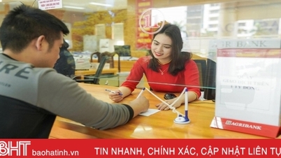 ដើមទុនដែលប្រមូលដោយស្ថាប័នឥណទានមានការរីកចម្រើនល្អ។