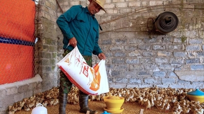 Tái đàn gia súc, gia cầm