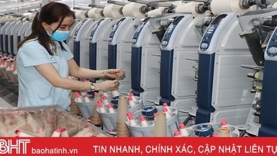 ធនាគារ Ha Tinh ជួយអាជីវកម្មជំនះការលំបាក