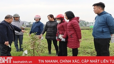 TP Hà Tĩnh hướng dẫn công nghệ sinh học trong sản xuất nông nghiệp