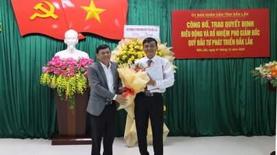 លោក Tran Van Tan កាន់តំណែងជានាយករងនៃមូលនិធិវិនិយោគអភិវឌ្ឍន៍ Dak Lak ។