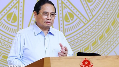 Prime Minister Pham Minh Chinh requested to review and evaluate the results of the patriotic emulation movement.