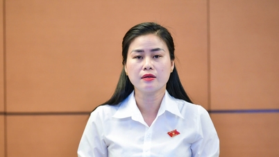 គណៈប្រតិភូរដ្ឋសភាខេត្ត Quang Nam ផ្តល់យោបល់លើច្បាប់វិសោធនកម្ម និងបំពេញបន្ថែមមាត្រាមួយចំនួននៃច្បាប់ផ្សាយពាណិជ្ជកម្ម