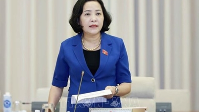 NTO - ការបន្ថែមសមាជិកទៅក្រុមប្រឹក្សាត្រាប់តាម