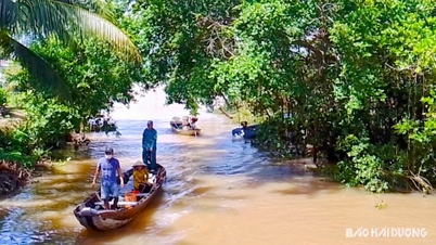 ធ្វើដំណើរជុំវិញកោះ Son Islet នៅក្នុងសួនច្បារនៅលើទន្លេ Hau