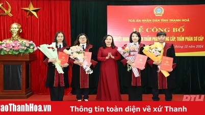 សេចក្តីប្រកាសអំពីសេចក្តីសម្រេចរបស់ប្រធានក្នុងការតែងតាំងចៅក្រម