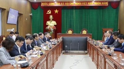 Binh Dinh គាំទ្រ WPD Group ដើម្បីអនុវត្តគម្រោងថាមពលខ្យល់នៅស្រុក Vinh Thanh
