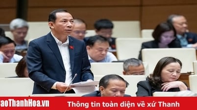 El delegado de la Asamblea Nacional, Vo Manh Son (delegación de la Asamblea Nacional de la provincia de Thanh Hoa), contribuyó con comentarios sobre el proyecto de ley sobre empleo (enmendado)