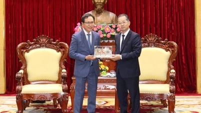시당위원회 서기 Nguyen Van Quang이 삼성베트남단지 지도자들을 접견