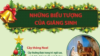 Die Bedeutung der Weihnachtssymbole am 25. Dezember