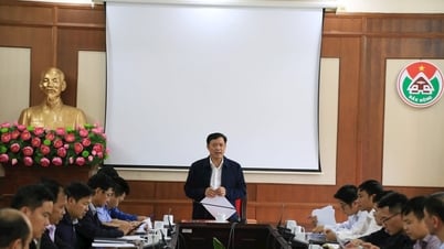 Dak Nong ជំរុញឱ្យមានផែនការប្រើប្រាស់ដីសម្រាប់ឆ្នាំ 2025
