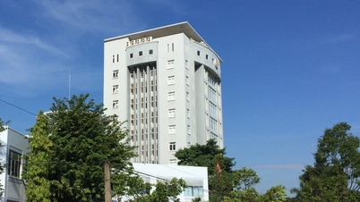 Quang Nam Provincial Tax Department requests organizations and enterprises to coordinate in managing tax registration information.