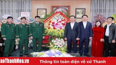 Lãnh đạo tỉnh Thanh Hóa thăm, chúc mừng Sư đoàn 341