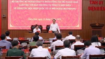 រដ្ឋមន្ត្រីក្រសួងការបរទេស Bui Thanh Son មកបំពេញទស្សនកិច្ច និងធ្វើការនៅ Dien Bien