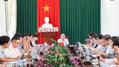 Thuan Nam ដាក់ពង្រាយការងារសម្រាប់រយៈពេល 6 ខែចុងក្រោយនៃឆ្នាំនេះ