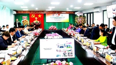 Kết nối doanh nghiệp hai tỉnh Vĩnh Long và tỉnh Niigata- Nhật Bản