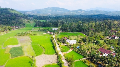 Le Comité populaire provincial de Quang Nam demande un rapport et une évaluation urgents des plans de construction du district en 2024