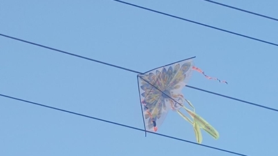 Danger of flying kites near power lines