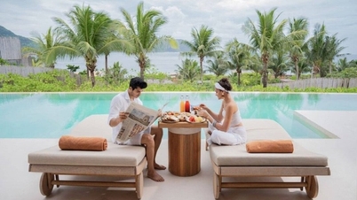 Top khách sạn, resort gần biển tại "thiên đường nghỉ dưỡng" Côn Đảo