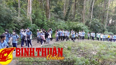 ដំណើរដ៏មានអត្ថន័យត្រឡប់ទៅប្រភព