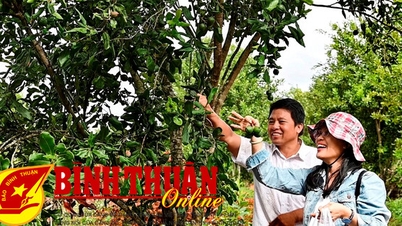 Travel in the fruit season