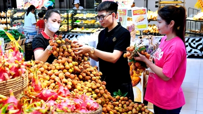 លីចីស្រស់ Thanh Ha នៅលើធ្នើផ្សារទំនើប និងទីផ្សារប្រពៃណីក្នុងទីក្រុង Hai Duong