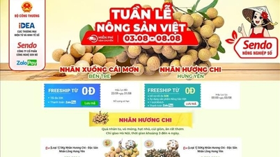 ការការពារម៉ាករបស់អ្នកនៅពេលនាំចេញតាមរយៈវេទិកាពាណិជ្ជកម្មអេឡិចត្រូនិក
