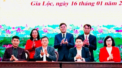 Gia Lộc phấn đấu năm nay tổng giá trị sản xuất tăng gần 13%
