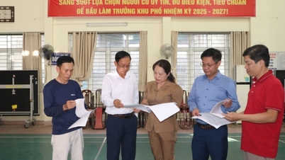 TP Hạ Long: Sẵn sàng cho ngày hội lớn