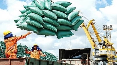 米の輸出価格が1000ドルに到達、米の輸出は引き続き好調