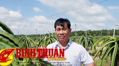Bình Thuận có 1 cá nhân và 1 hợp tác xã được tôn vinh toàn quốc