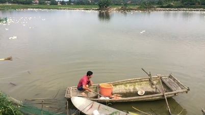 TP Chí Linh dành gần 30 tỷ đồng xây dựng hạ tầng kỹ thuật khu nuôi thủy sản xã Hưng Đạo