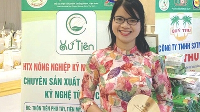 Tạo vòng đời mới cho mo cau